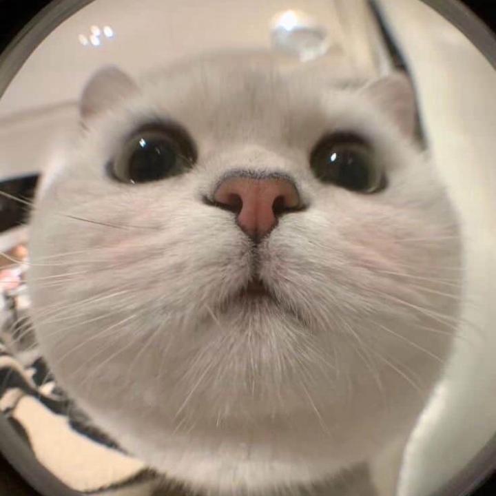 惠君 蔡