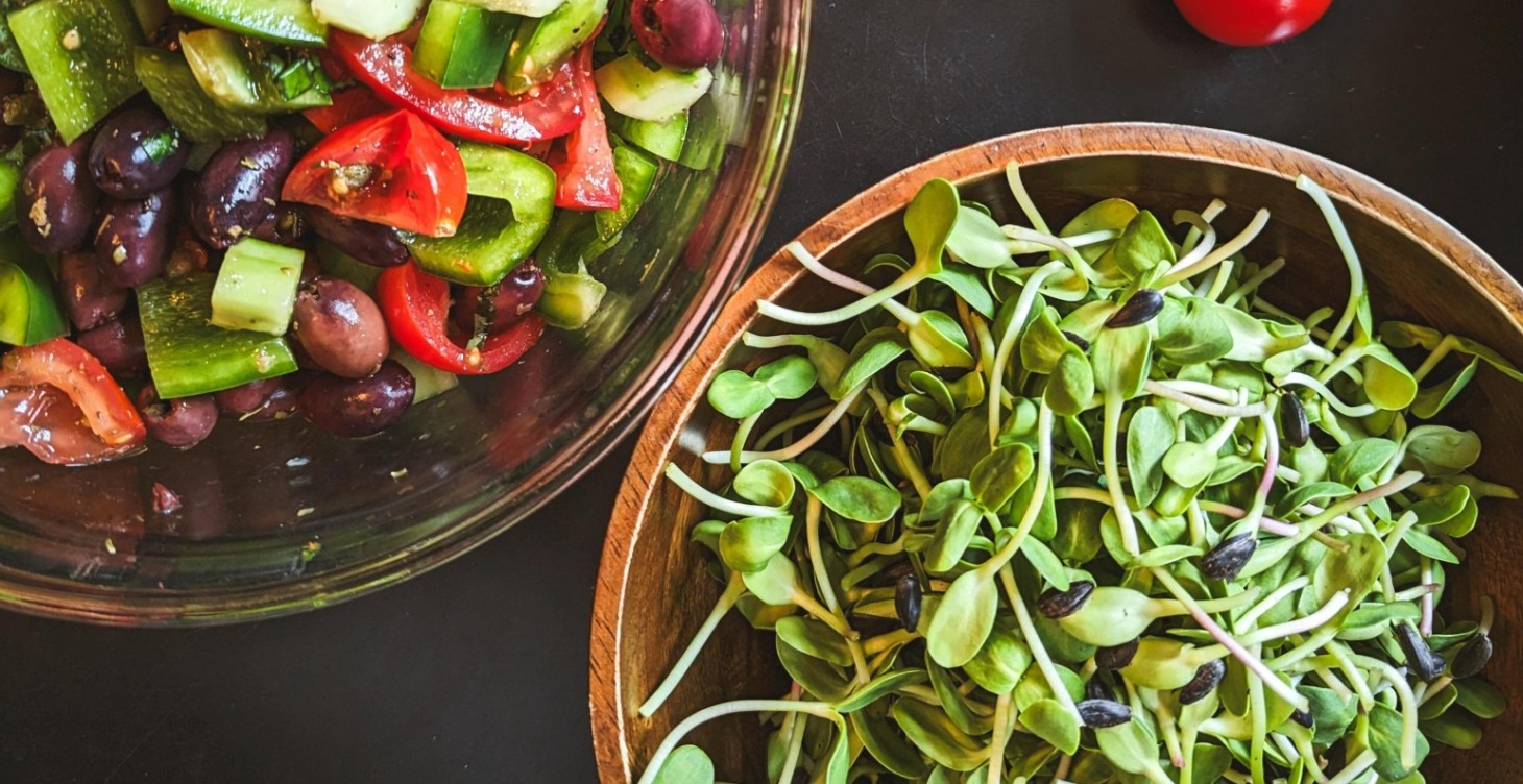 Grow Your Own Sprouties