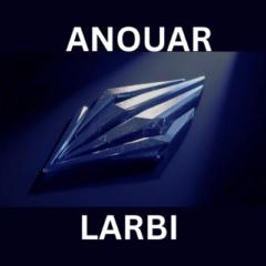Larbi Anouar