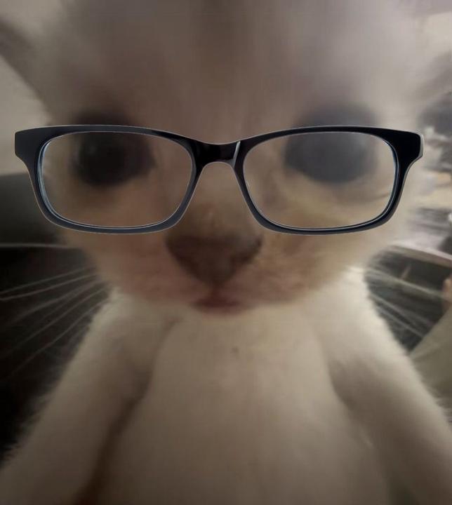 Steven Eulogio Yanayaco