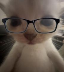 Steven Eulogio Yanayaco