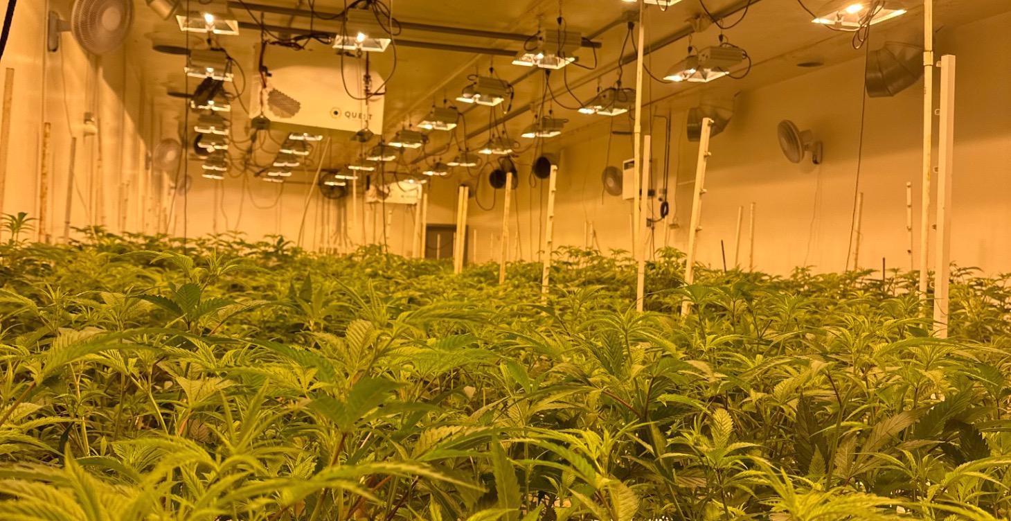 How to start growing