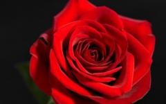 Yousuf Ajaz