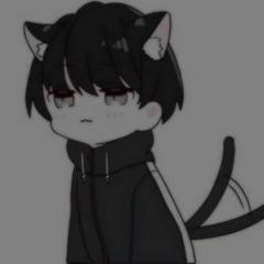 夜中 Yzma