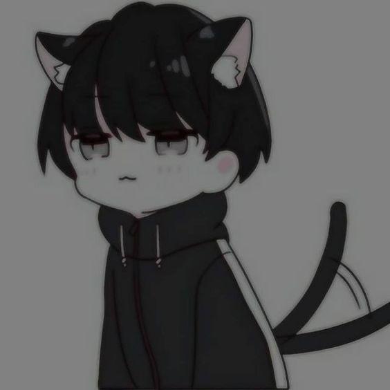 夜中 Yzma