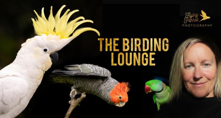 The Birding Lounge