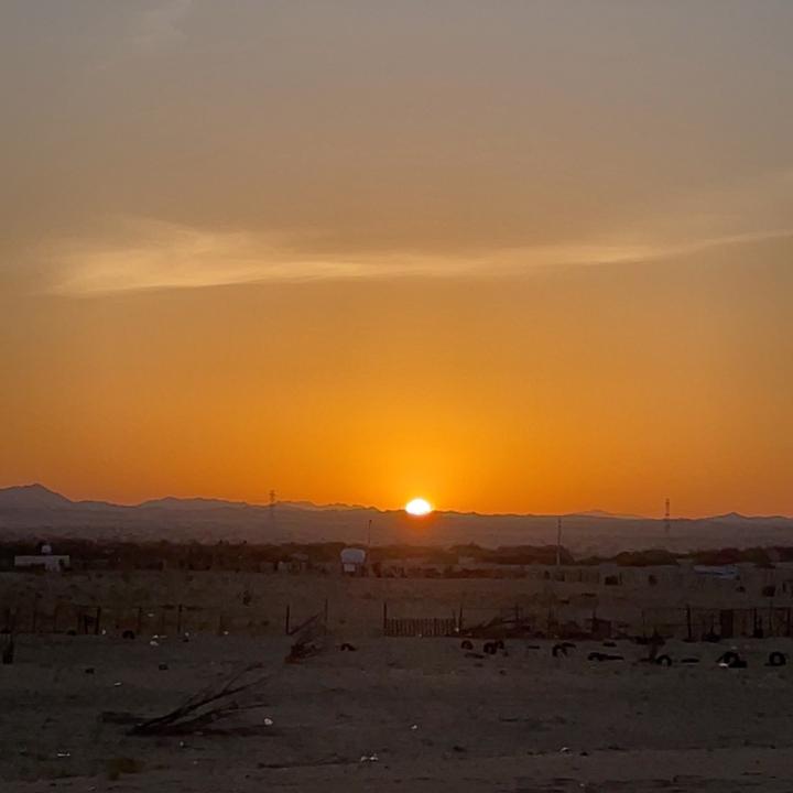 اروى المرواني