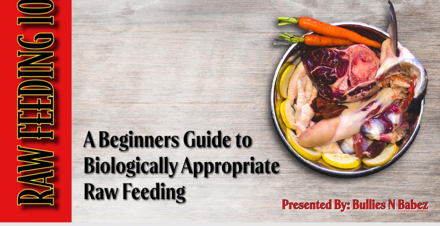 Raw Feeding 101