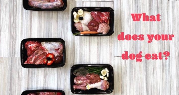 RAW Feeders Unite 🐶🥩