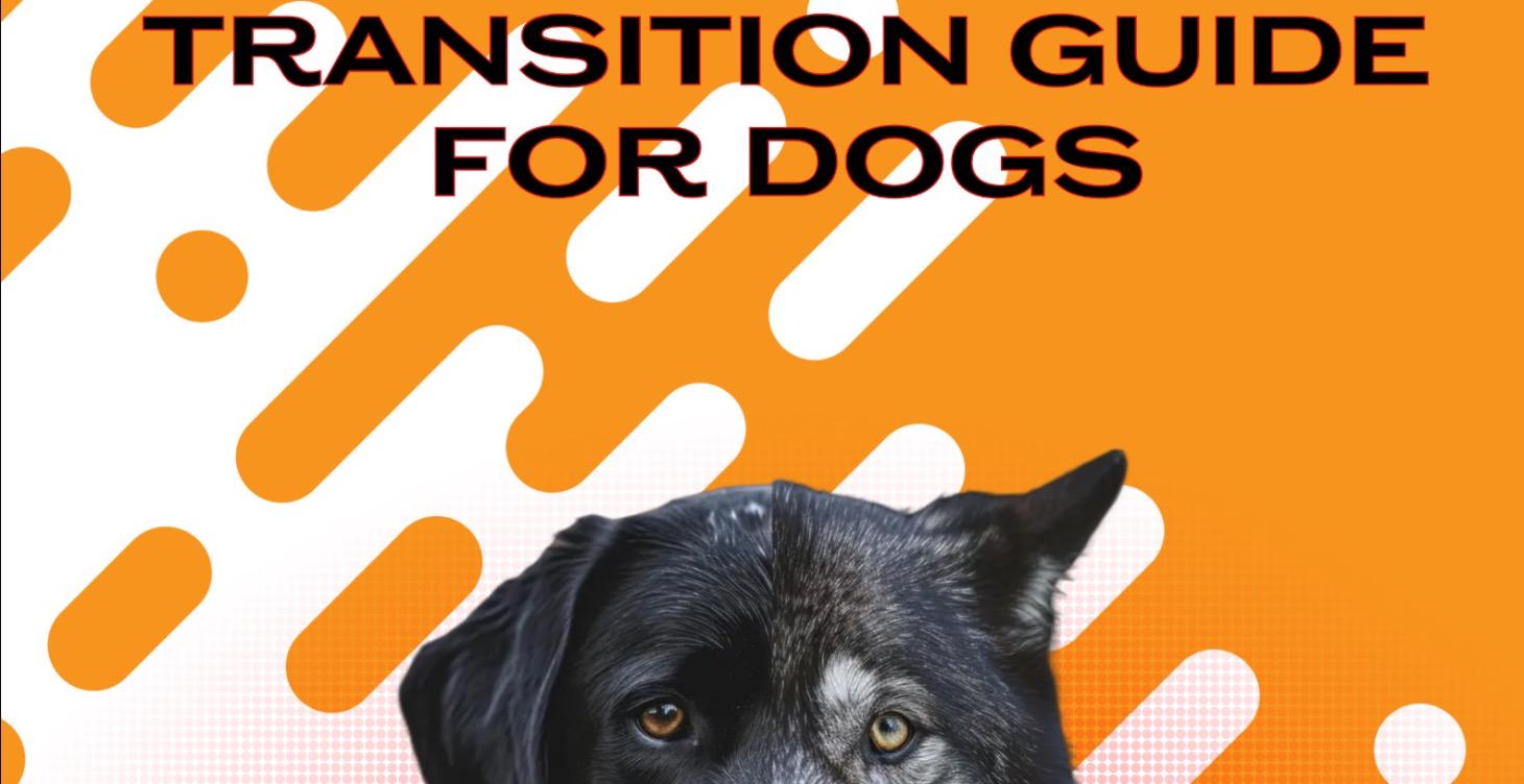 Transitioning made simple!