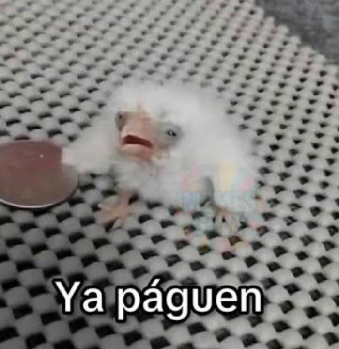 Jeffry Cano