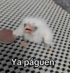 Jeffry Cano