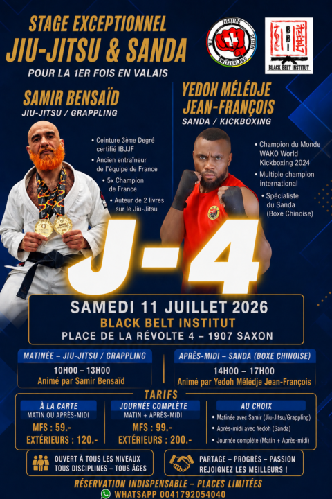 Masterclass Sanda et Kick-boxing 