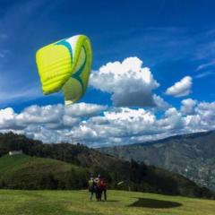 Buitrago Londoño Alejandra