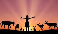 Josef-Alfons Striedl