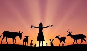 Josef-Alfons Striedl