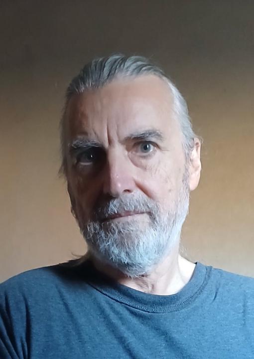 Fede Heisig