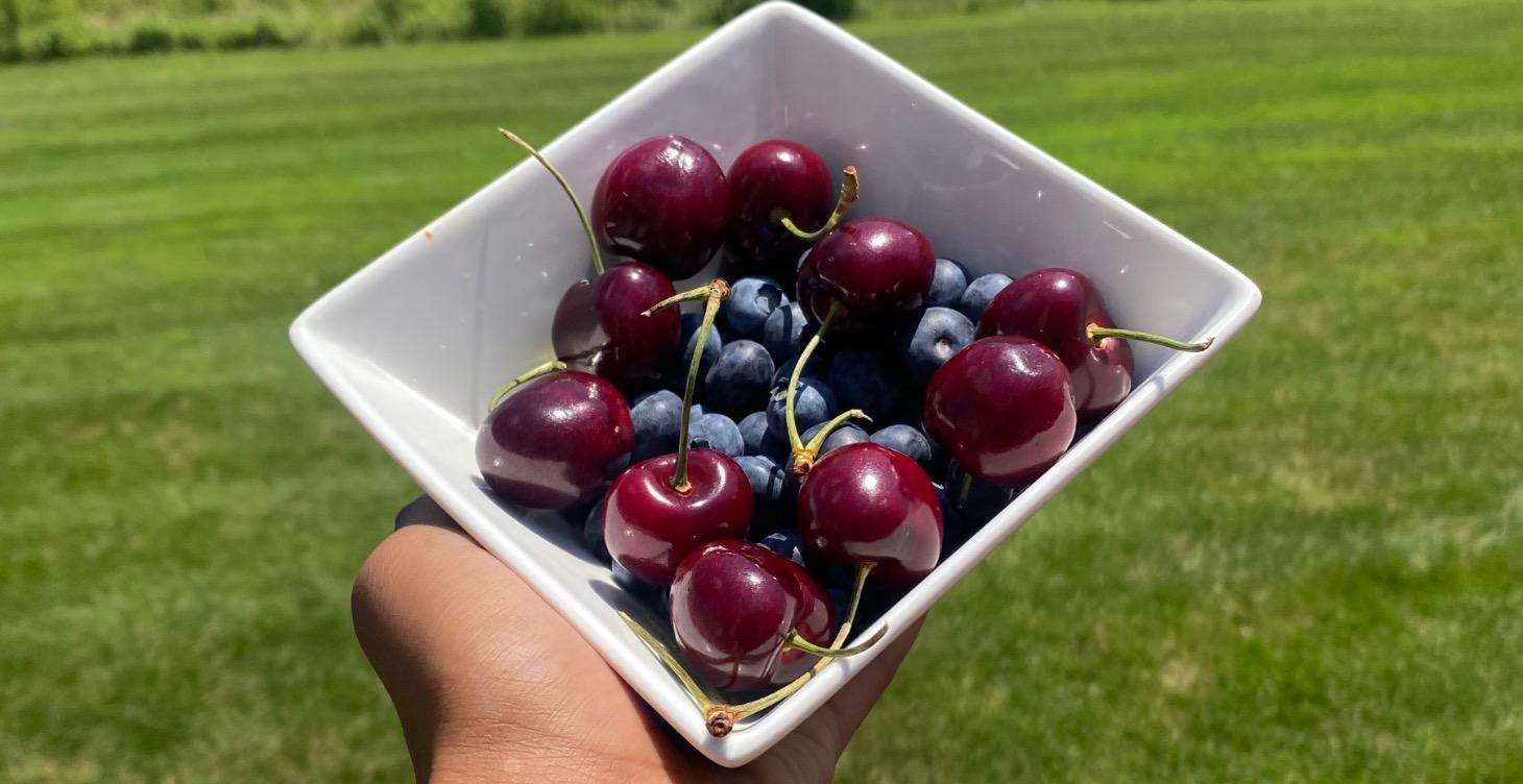 Food, Ritual, and Metabolic Wellness