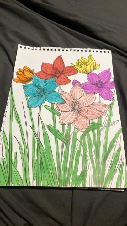 Colored pages 