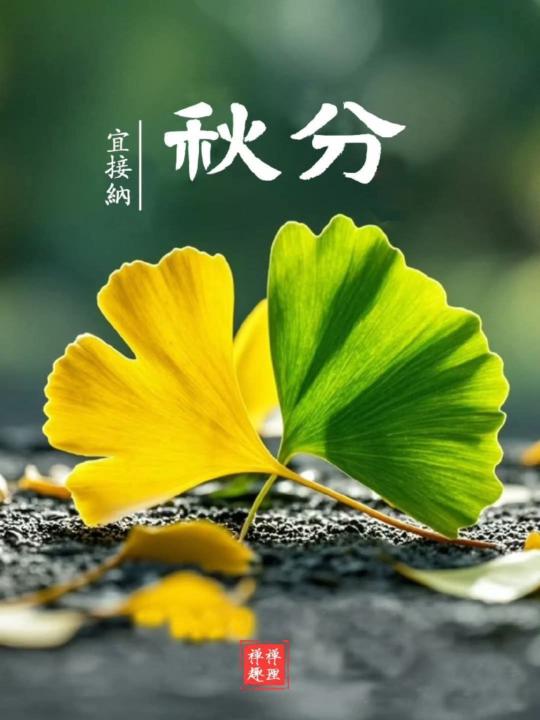 雯雰 Pao