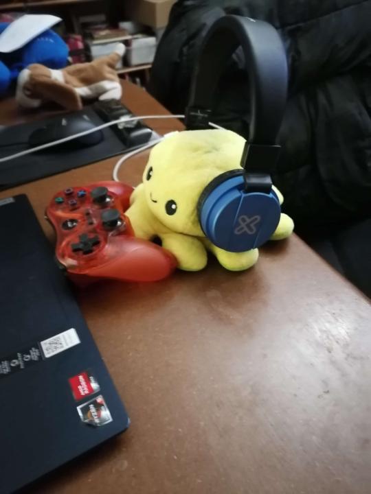 Pulpo Gamer