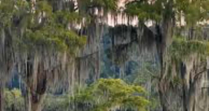 Florida Nature Nerds