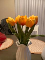 Alma Flores