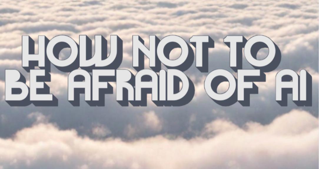 How Not To Be Afraid of AI