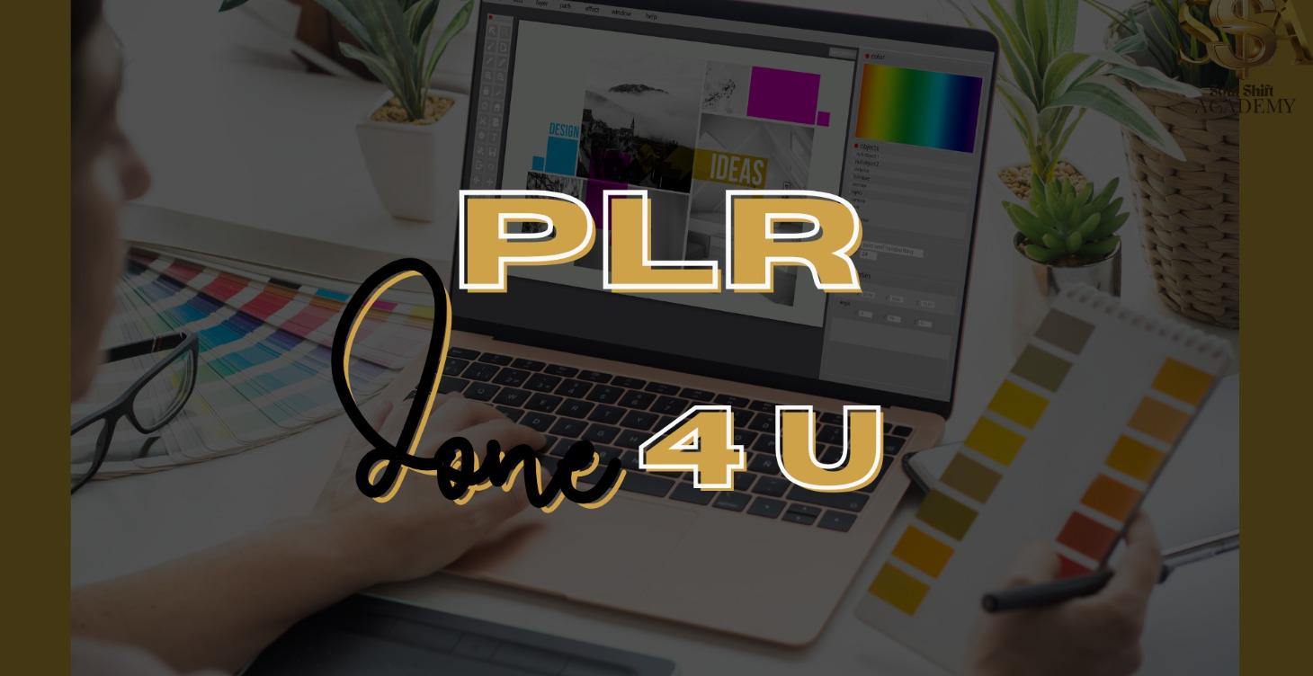 PLR 4 U - DO IT FOR YOU TEMPLATES