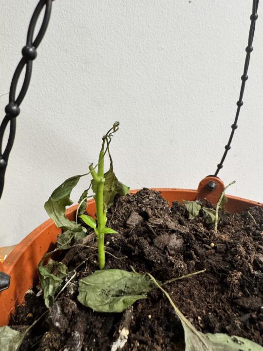 This is the story of OUR LIVES 