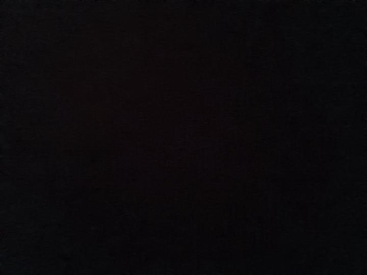 Bruno Ciani romagnolo