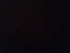 Bruno Ciani romagnolo