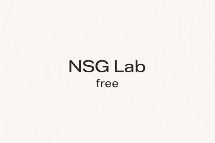 Nsg Lab