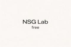 Nsg Lab