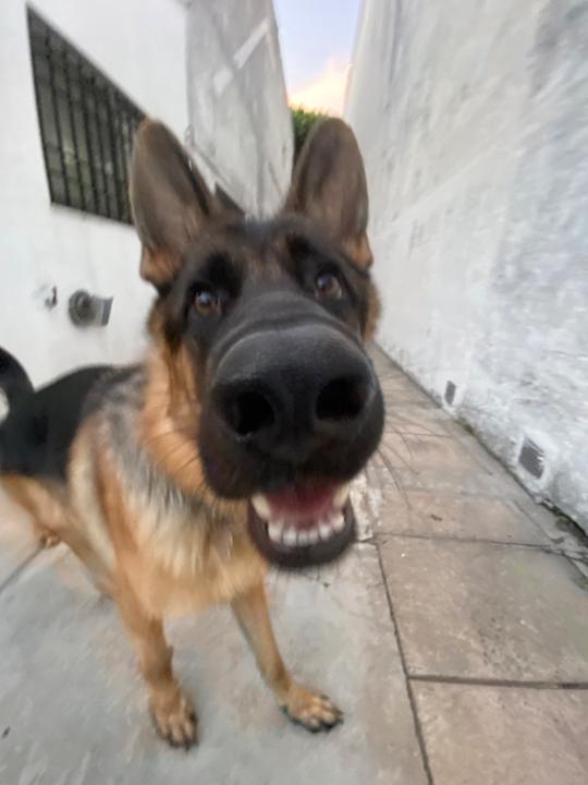 Soff Álvarez