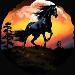 Munkhbayar Batkhishig