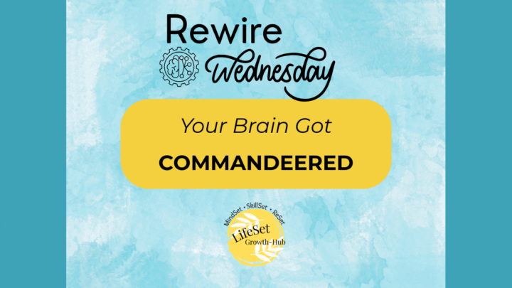 Rewire Wednesday