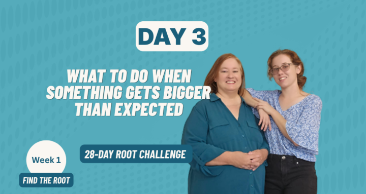 🌿 Root Challenge — Day 3 Check-In