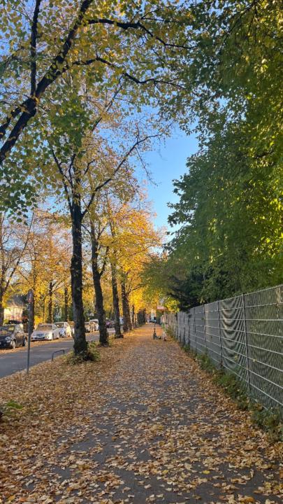 Satilena Maria da Silva Soares