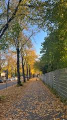 Satilena Maria da Silva Soares