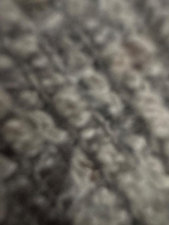 Osmer Martinez Ramos