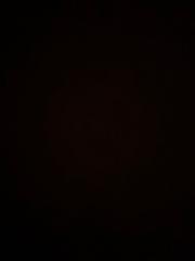 Elvin Šabanadžović