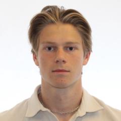 Ludwig K