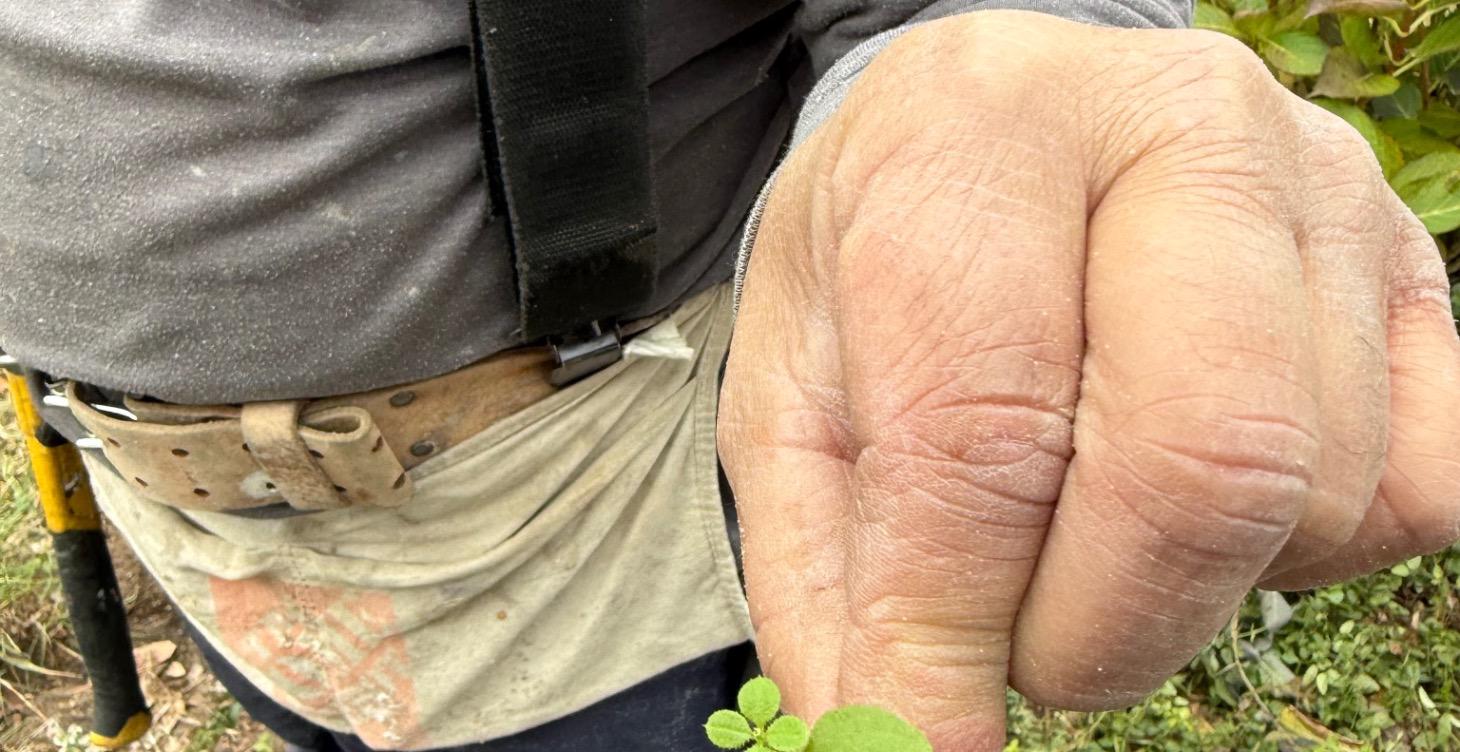 Learn about how food affect your health.