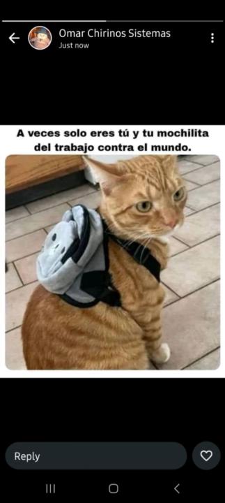 Stiven Kevin Rosales Casas