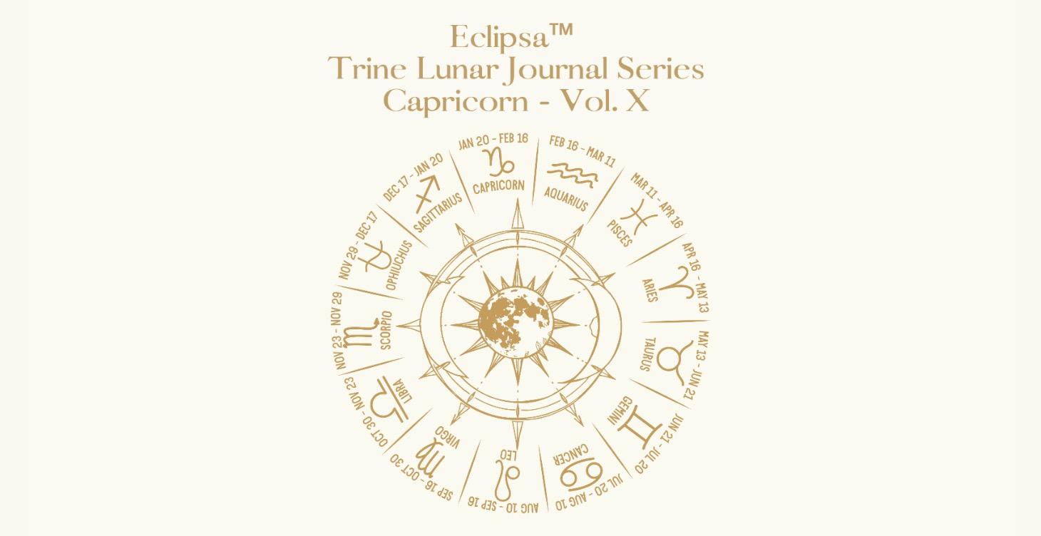 Capricorn — Discipline & Authority Journal