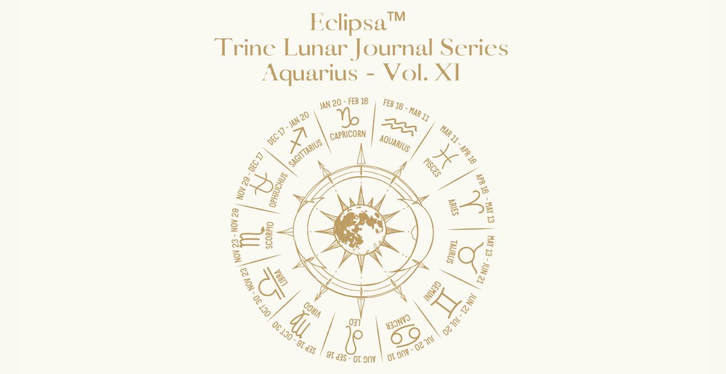 Aquarius — Liberation & Future Authority