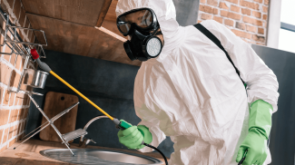 Termite Removal La Vernia, TX | Call (888) 584-8783