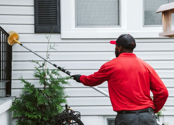 Termite Exterminator Saucier, MS | Call (888) 584-8783