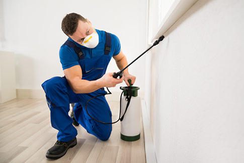 Termite Control Florence, MT | Call (888) 584-8783